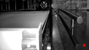 Caméra IP - IR