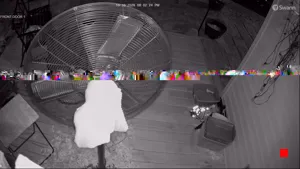 Caméra IP - US