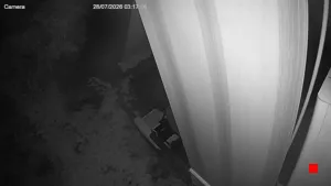 Caméra IP - IT