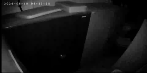 Caméra IP - IN