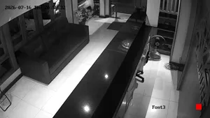 Caméra IP - TH