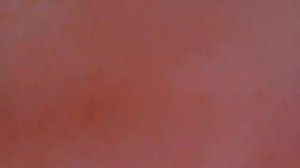 Caméra IP - IN