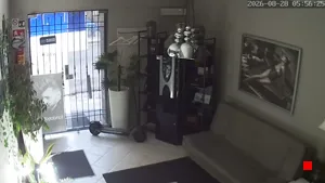 Caméra IP - IT