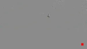 Caméra IP - CA