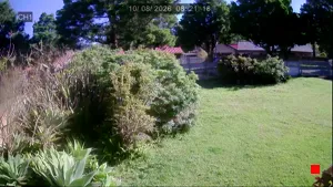 Caméra IP - ZA