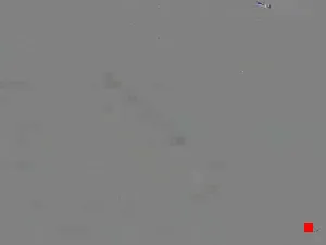 Caméra IP - US