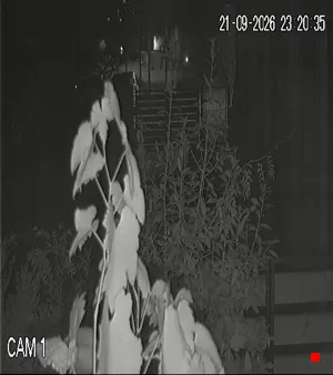 Caméra IP - IT