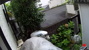 Caméra IP - JP