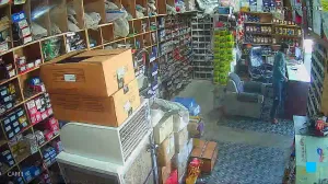 Caméra IP - IN