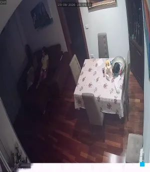 Caméra IP - IT