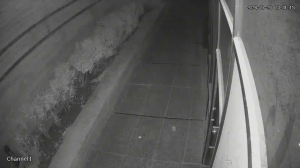 Caméra IP - IR