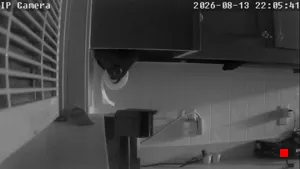 Caméra IP - US