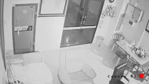 Caméra IP - TH