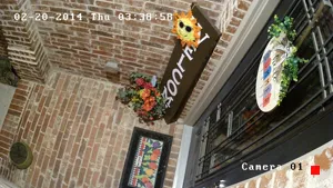 Caméra IP - US