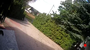 Caméra IP - PL