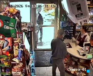 Caméra IP - PL
