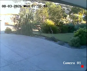 Caméra IP - AU