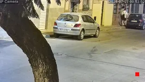 Caméra IP - ES
