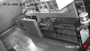 Caméra IP - CN