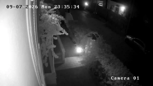 Caméra IP - IT