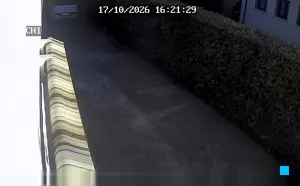 Caméra IP - IT