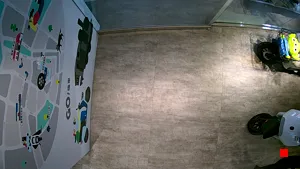 Caméra IP - TW
