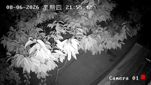 Caméra IP - CN