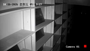 Caméra IP - CN