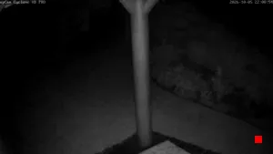 Caméra IP - DE