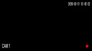 Caméra IP - IT