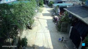 Caméra IP - VN