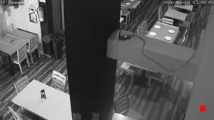 Caméra IP - ES
