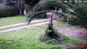 Caméra IP - AR