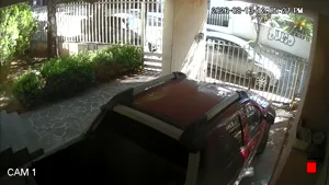 Caméra IP - MX