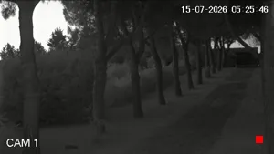 Caméra IP - IT
