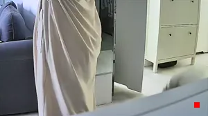 Caméra IP - PL