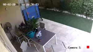 Caméra IP - IL
