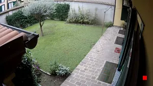 Caméra IP - IT