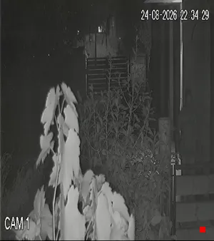 Caméra IP - IT