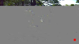 Caméra IP - TW