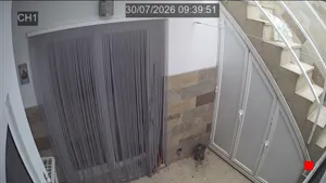 Caméra IP - ES