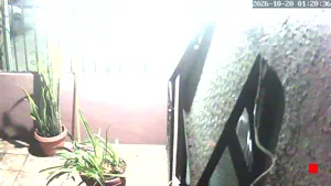 Caméra IP - MX
