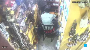 Caméra IP - IN