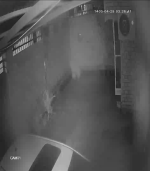Caméra IP - IR
