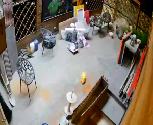 Caméra IP - IR