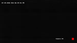 Caméra IP - US