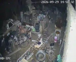 Caméra IP - IR