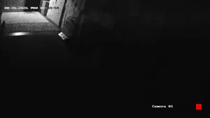 Caméra IP - US