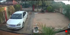 Caméra IP - PY