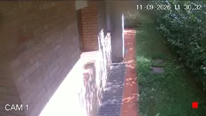 Caméra IP - IT